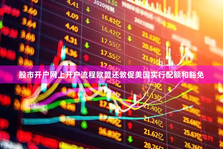 股市开户网上开户流程欧盟还敦促美国实行配额和豁免